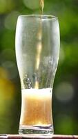 Pouring process of light beer into tall glass. Beer pours into a glass in summer garden making lots of bubbles and white foam. Cold alcohol refreshment on nature background. Vertical video