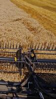 Metal detail of combine harvester. Modern combine harvesting wheat on the field in summer. View from agricultural machine. Close-up. Vertical video