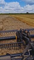 Detail view on knives of combine. Part of agricultural equipment cutting yellow ears of wheat. Close-up. View from combine harvester. Vertical video