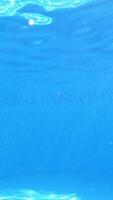 An energetic dive into a swimming pool. Handsome young man swimming in pool, underwater view Vertical video