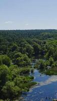 Fluss im das Wald. Flug Über das schön Blau See auf Grün Bäume Hintergrund. Natur im Sommer. tolle Landschaft. Antenne Sicht. Vertikale video