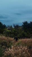 Mysterious ghost in black cloak among nature. Dark figure standing on the field under cloudy sky. Scary death. Horror concept. Drone view. Vertical video
