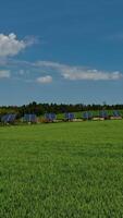 Green field in spring. Solar photovoltaic panels on the modern complex among beautiful nature landscape. Drone flight. Camera moves forward. Vertical video
