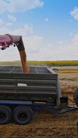 Combine harvester auger unloading grains of wheat. Combine harvester pouring ripe crop into tractor trailer. Machinery working at seasonal works on field in summer. Vertical video
