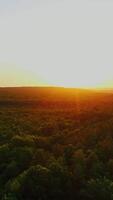 Idyllic nature at sunset. Panoramic view of beautiful green forest on the setting sun background. Morning sunlight over the tops of trees. Aerial view. Vertical video