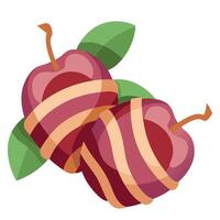 Plums wrapped in bacon vector