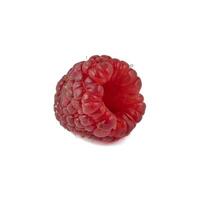 Isolated berry. One fresh raspberry fruit isolated on white background photo