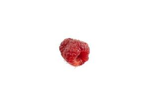 Isolated berry. One fresh raspberry fruit isolated on white background photo