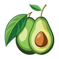 Fresh organic avocado cut in half sliced with leaves isolated on white background with clipping path vector