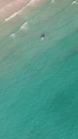 Aerial drone view of the tropical beach with white sand and palm tree video