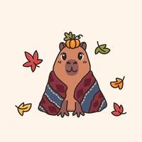 Cozy animal capybara wrapped in comfy blanket. Autumn cartoon character relaxing at fall season vector