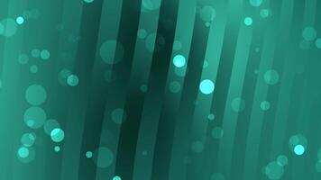 Background green sage with particle video