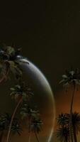 Vertical palm trees against the night sky and a huge moon. Seamless loop. 3d animation. video