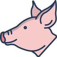 pig illustration design vector