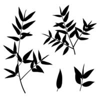 bamboo leaves silhouette element set vector