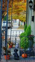 The beautiful little town landscape with the colorful autumn leaves and old buildings in USA photo