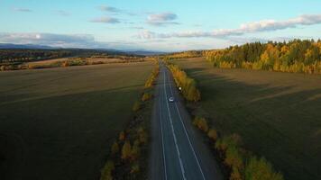 An aerial view of a car driving along a winding road through golden autumn fields and forests. The scene captures the peaceful beauty of the countryside, with the open sky and distant horizon in view. video