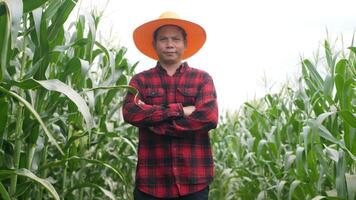 Corn fields and entering the fields video