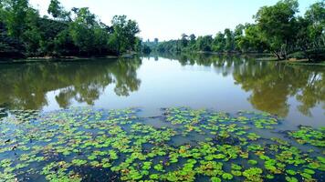 Beautiful Lake Surrounded By Greenery And Hills video