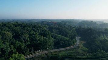 Drone View Green Fields video