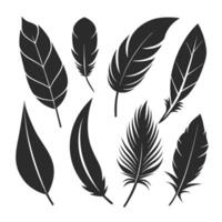 Minimalist Feather Silhouette Set for Patterns and Logos vector
