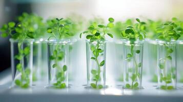 In vitro micropropagation methods for cloning microorganisms. photo