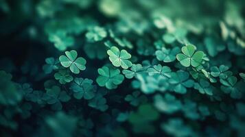 Lush green clovers blanketing a tranquil natural background. photo