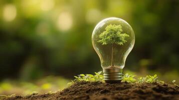 Symbolic Tree Growing Within a Light Bulb for Energy photo