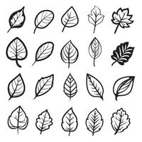 Autumn falling leaves pattern, hand drawn in sketched style vector