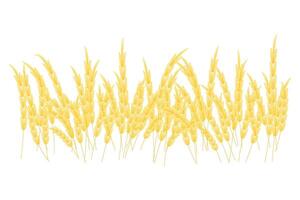 silhouette of wheat. Wheat in the field on a white background. vector