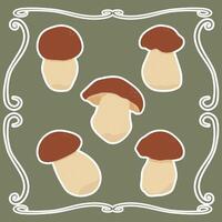 Set of boletus mushroom stickers on a plain background vector