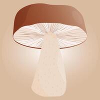 White mushroom boletus on color background. Autumn forest element vector