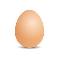 Simple Chicken egg isolated on white background vector