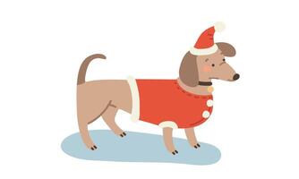 Dachshund dog in Santa suit for New Year holidays. illustration in flat style. vector