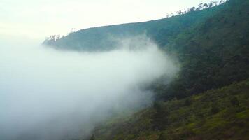 Cloud fog comes in mountains, cliffs, forests video