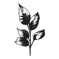 Black Silhouette of Delicate Plant Isolated on White Background for Refined Texture and Background Overlays vector