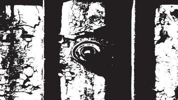 Cracked, Worn, and Distressed Texture Overlay with Monochrome Grunge for Backgrounds and Layering vector