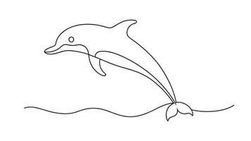 Dolphin continuous line art isolated on white background. vector