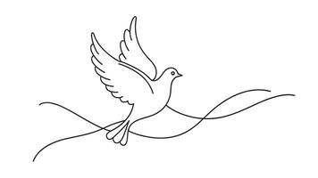Flying bird continuous line art isolated on white background. vector
