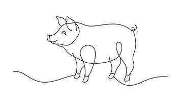 Pig continuous line art isolated on white background vector