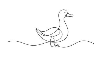 Duck continuous line art isolated on white background. vector