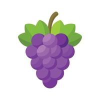 Grape isolated flat illustration on white background vector