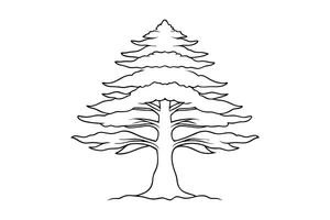 Cedar tree Hand drawn line art flat illustration on white background. vector