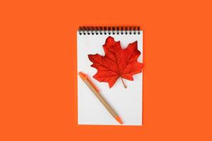 School autumn composition with notepad with pen and autumn leaf on orange background. Flatlay. Top view. Copy space. photo