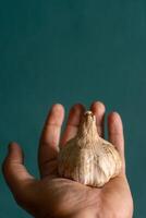 A man's hand holding a garlic bulb against a green background, emphasizing the natural texture of the garlic and the subtle contrast with the soft, earthy backdrop. photo