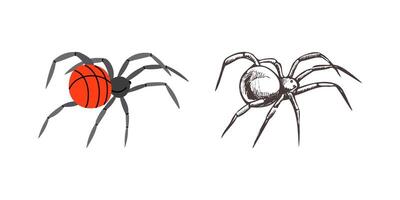 Flat and sketch style spider, isolated on white background. Drawing sketch of the black spider. Halloween, folklore black magic attribute. . vector