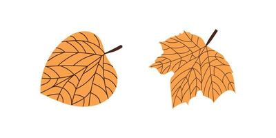 flat style leaf illustration. Vintage sketch element for the design of labels, packaging and postcards. vector