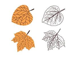 flat and hand drawn style leaf illustration. Vintage sketch element for the design of labels, packaging and postcards. vector