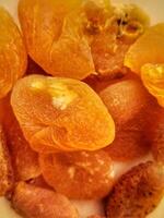 dried apricot texture close up photo