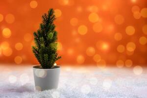 small artificial spruce Christmas tree in a white pot on an orange background with bokeh photo